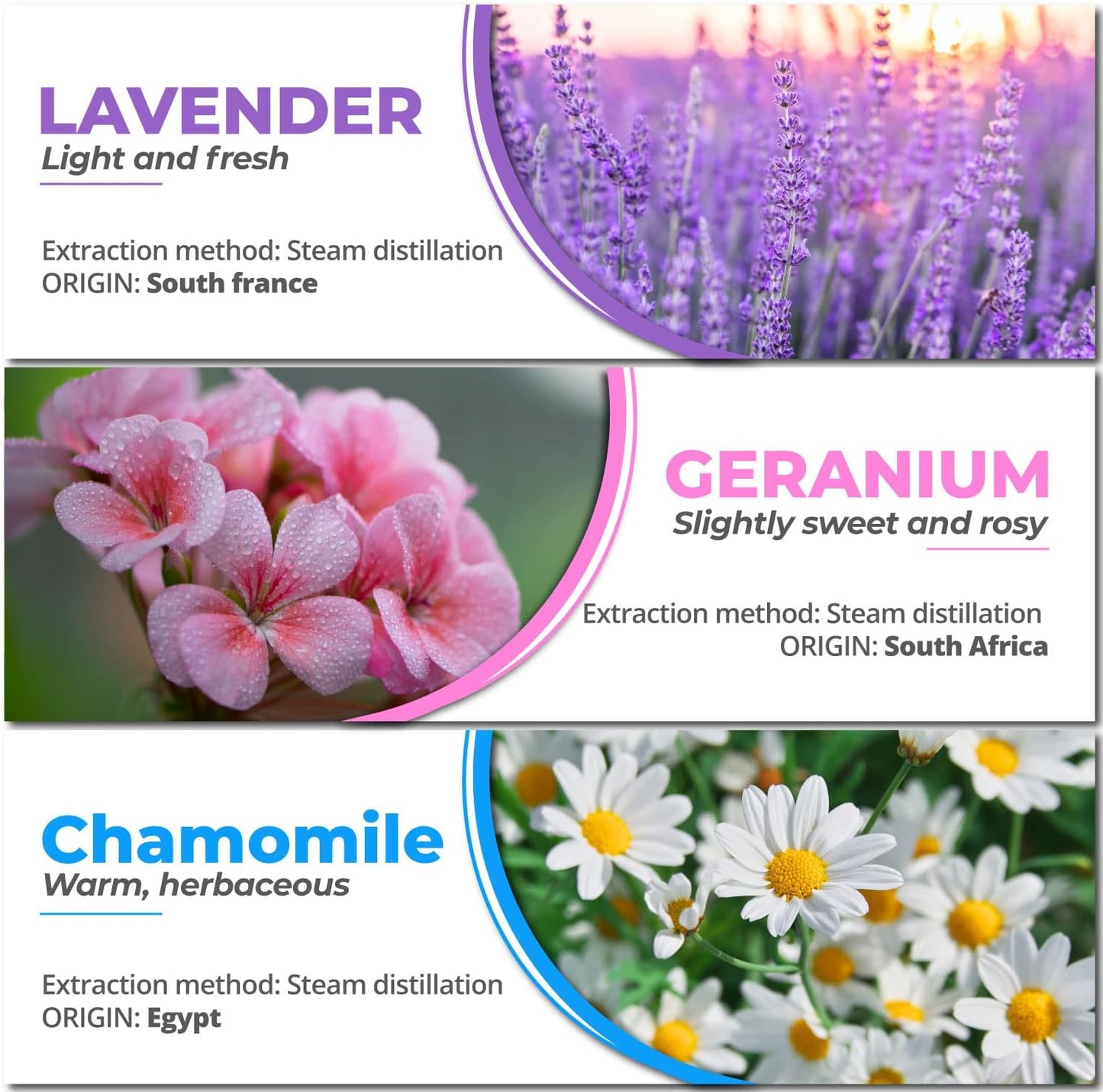 Essential Oil Set of 6 – 100% Pure Floral Essential Oils for Diffusers for Home, Rose, Lavender, Chamomile, Jasmine, Geranium, Neroli - Therapeutic Grade Aromatherapy Oils, 60Ml Pack